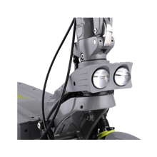 Mukuta 10 Plus