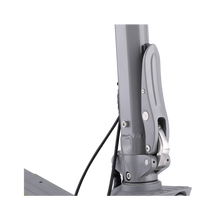 Mukuta 10 Plus