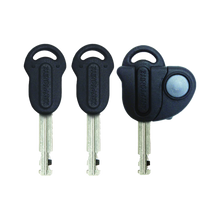 Kryptonite discount evolution ls