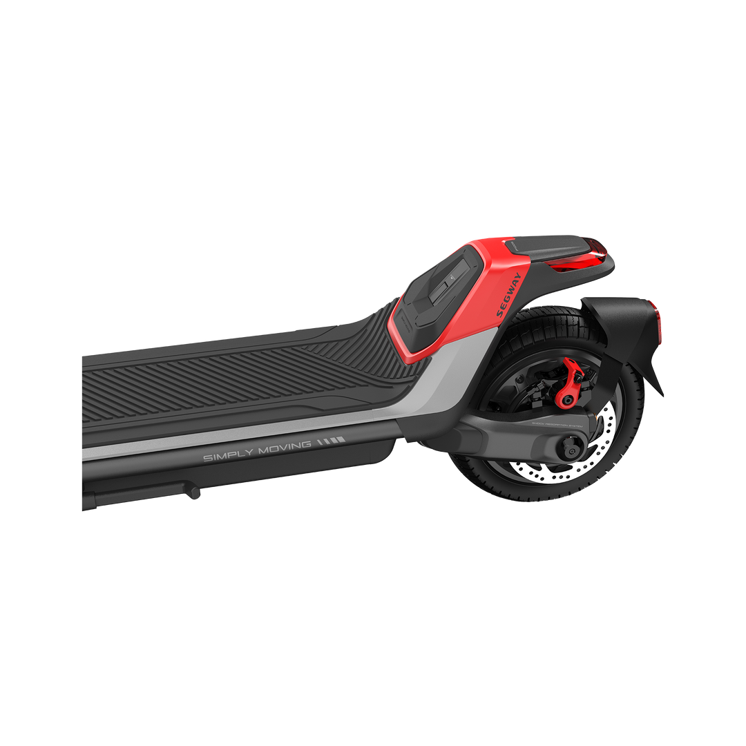 Eevees Segway Ninebot Kickscooter P100s