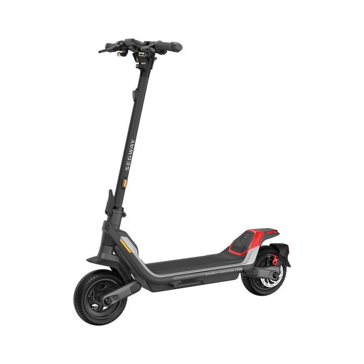 Eevees Segway Ninebot Kickscooter P100s